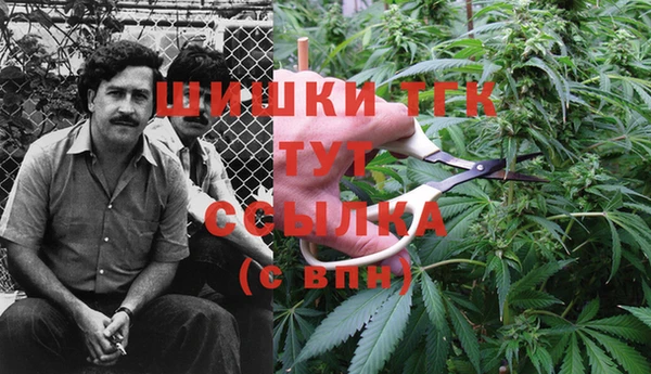 наркотики Гусь-Хрустальный