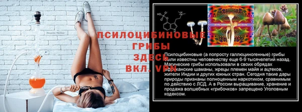 молекула духа Гусиноозёрск