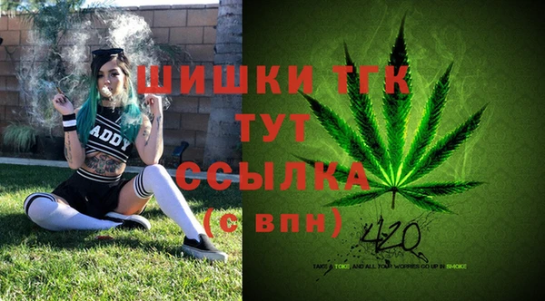 молекула духа Гусиноозёрск