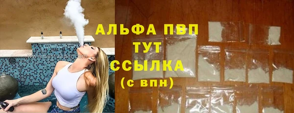 молекула духа Гусиноозёрск