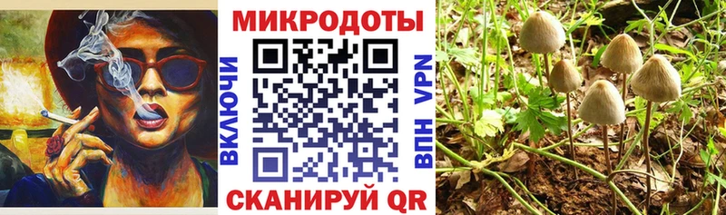 Купить  Ухта  Псилоцибиновые грибы GOLDEN TEACHER 